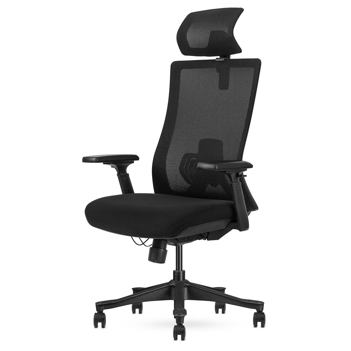 DM9 Ergonomic Mesh High Back Office Chair Adjustable Lumbar