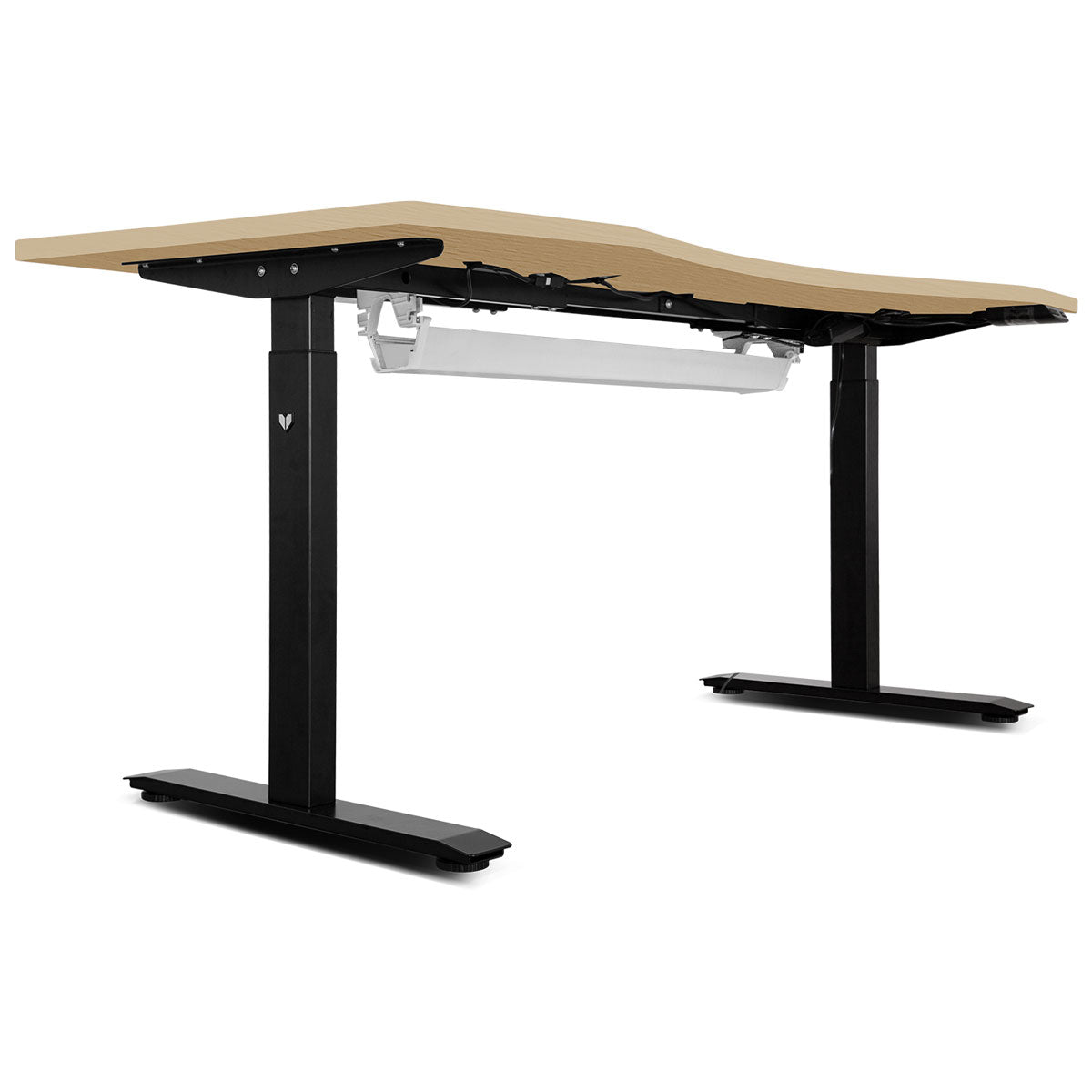 Adjustable Oak Standing Desk with WalkingPad M2 Treadmill