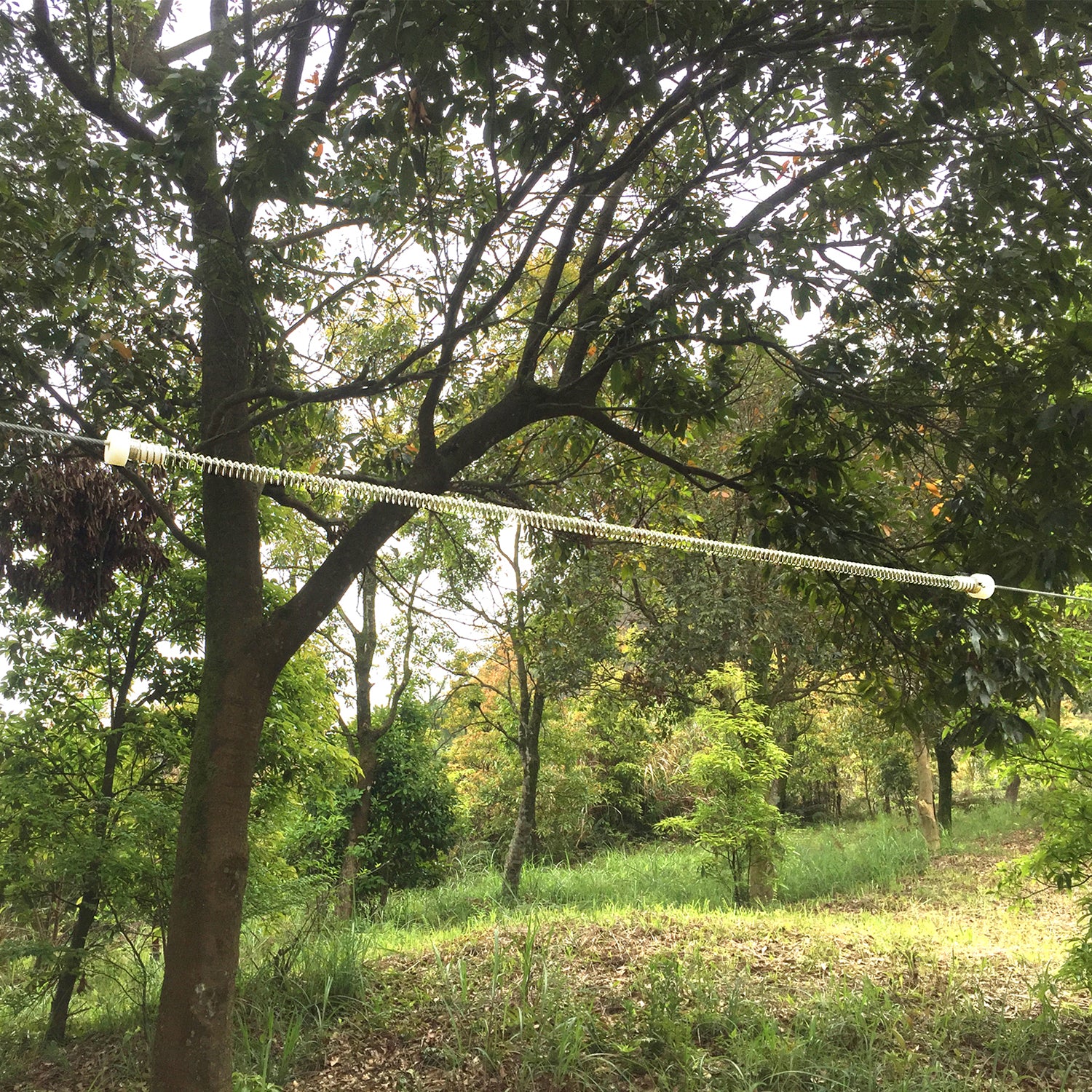 Woomera Flying Fox Zip-Line + Red Monkey Swing Set