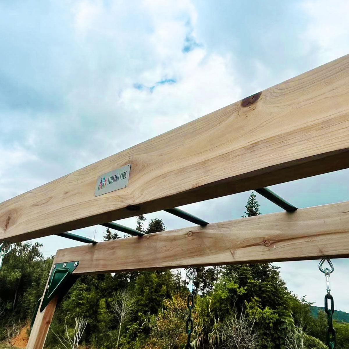Daintree Kids 2-in-1 Monkey Bars & Swing Set Timber Outdoor Play Equipment