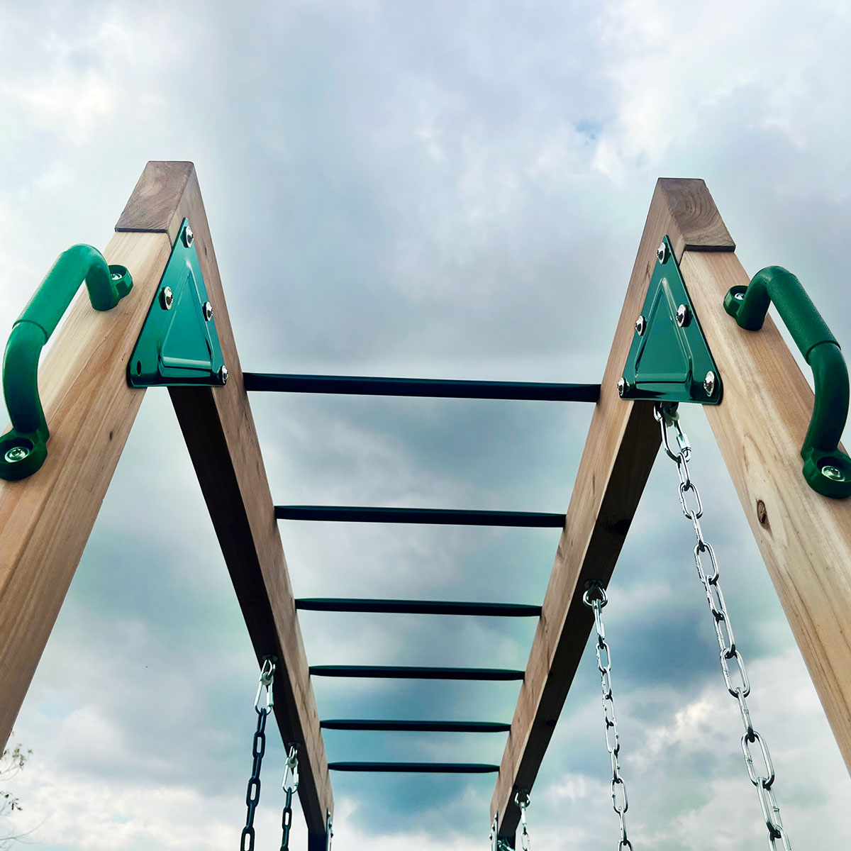 Daintree Kids 2-in-1 Monkey Bars & Swing Set Timber Outdoor Play Equipment