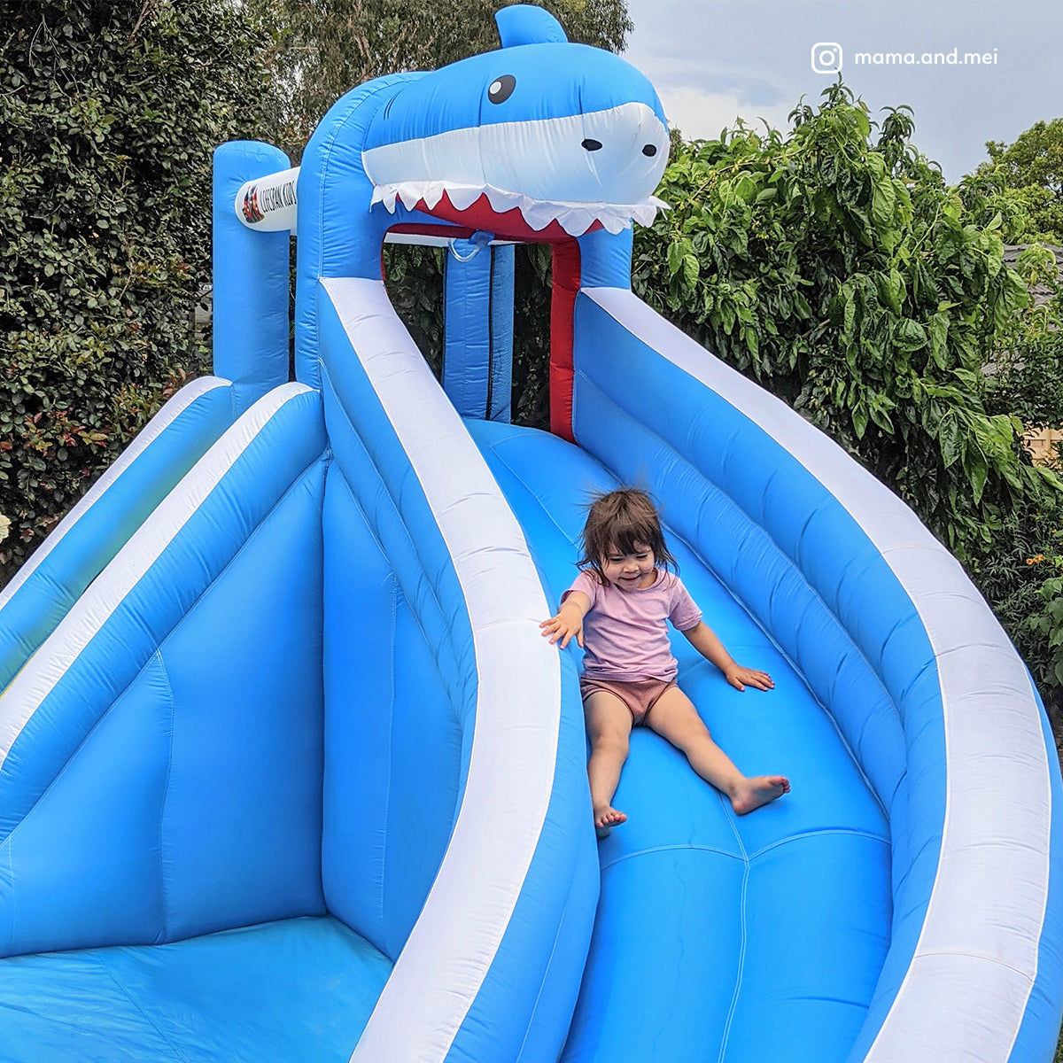 Sharky Inflatable Slide & Splash Water Park for Kids