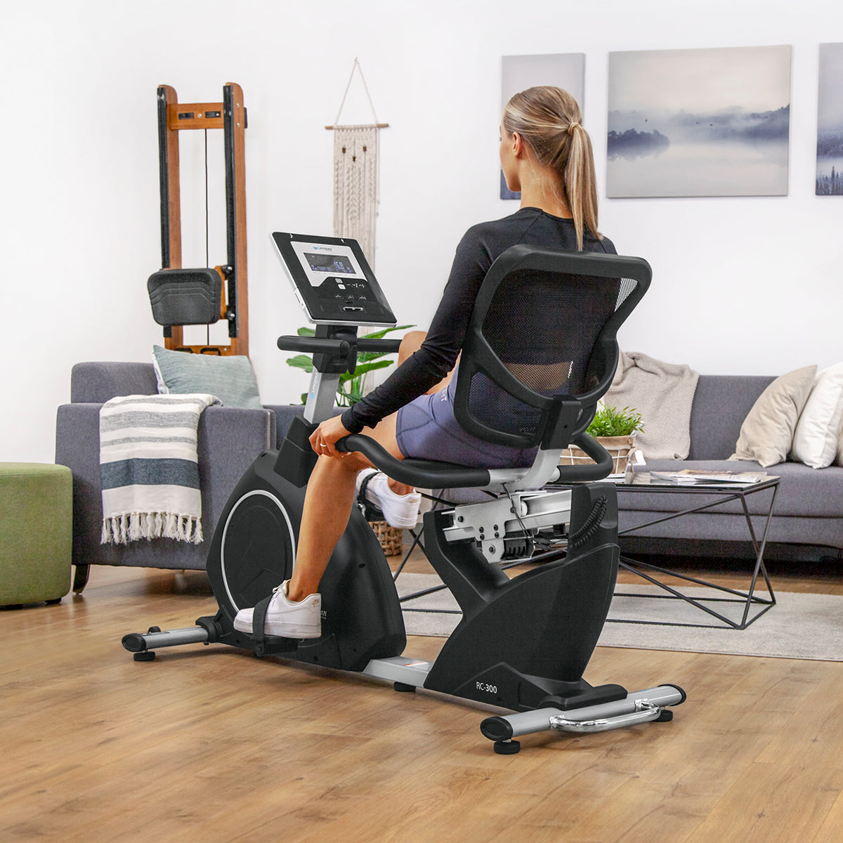 Ergonomic Recumbent Bike with 16 Levels & LCD Display Lifespan Fitness