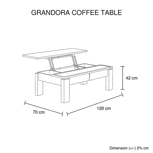 High Gloss Lift Up Top Coffee Table with Storage, MDF