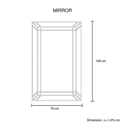 Premium Rectangular Wall Mirror, MDF, Silver Colour