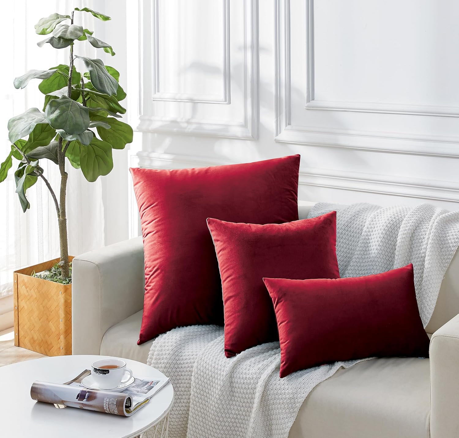 Twin-Pack Velvet Cushion Covers - Soft Microfibre Cushion Covers with Hidden Zipper Red, 65cm*65cm