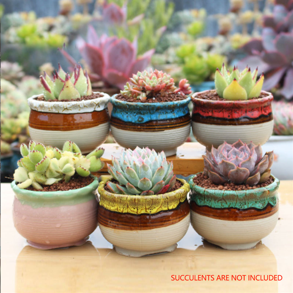 4/5/6 Pots Set Ceramic Clay Pottery Pots Succulent Flower Planter Draining Hole(Style 05# 6 Pots Set)