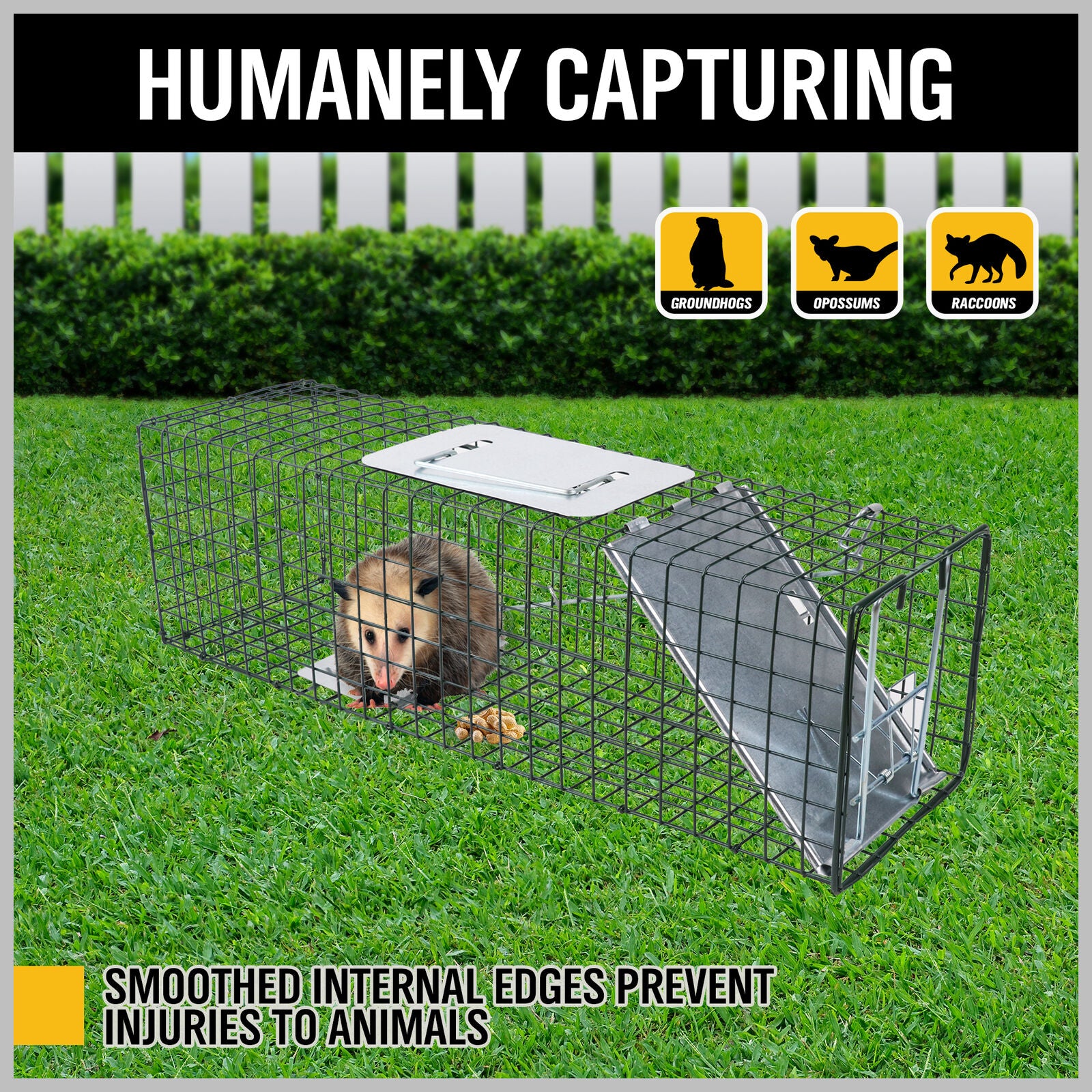 Humane Live Animal Trap Cage, Secure Steel, 61x19x19CM