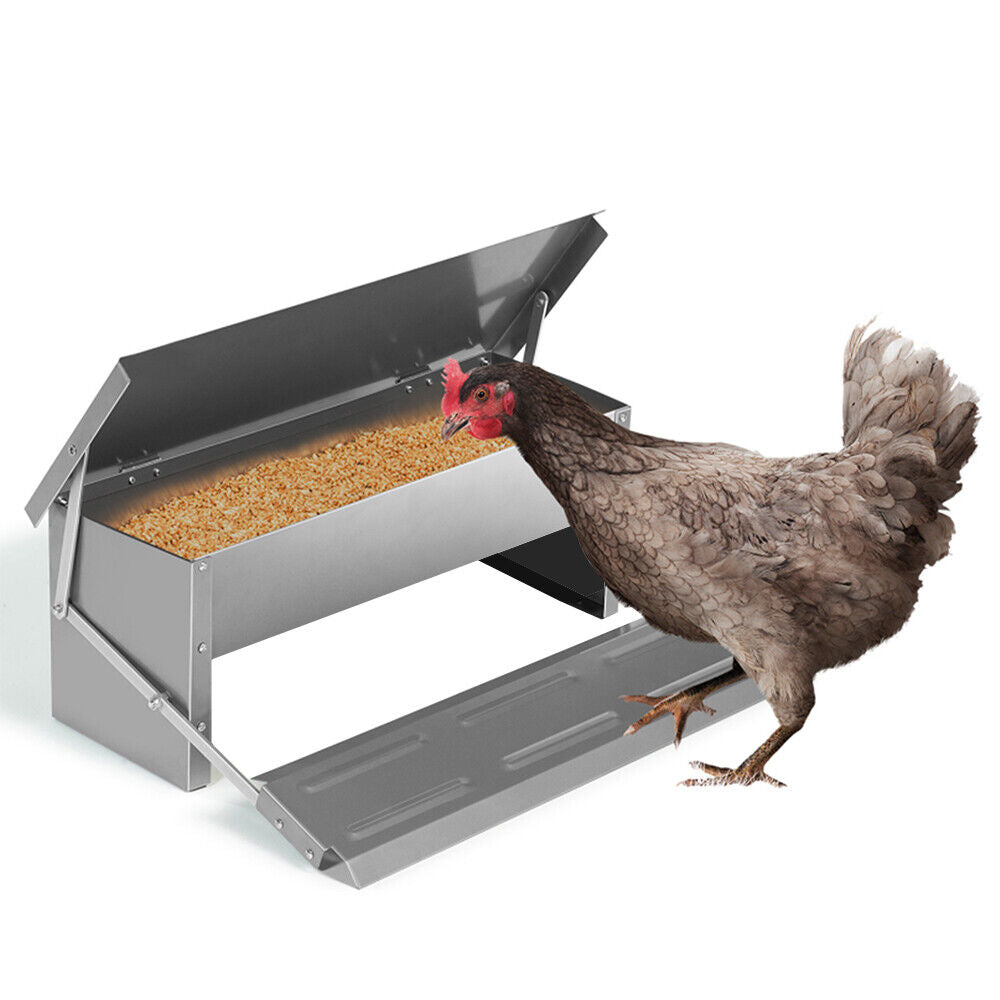 Rust-Proof Automatic Chicken Feeder, 5KG Capacity, Steel