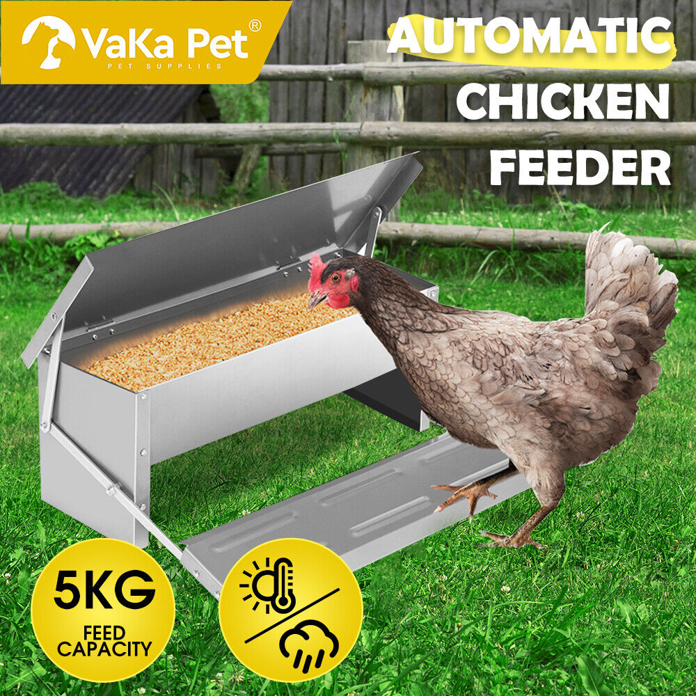 Rust-Proof Automatic Chicken Feeder, 5KG Capacity, Steel