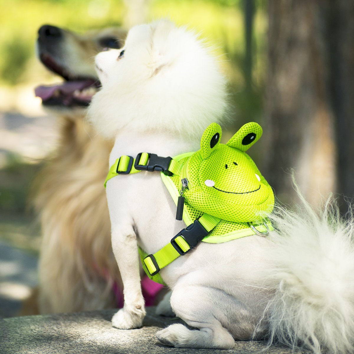 Ondoing Pet Saddle Bag Dog Harness Backpack Hiking Traveling Outdoor Bags Cute Costume Green frog bag with leash set M