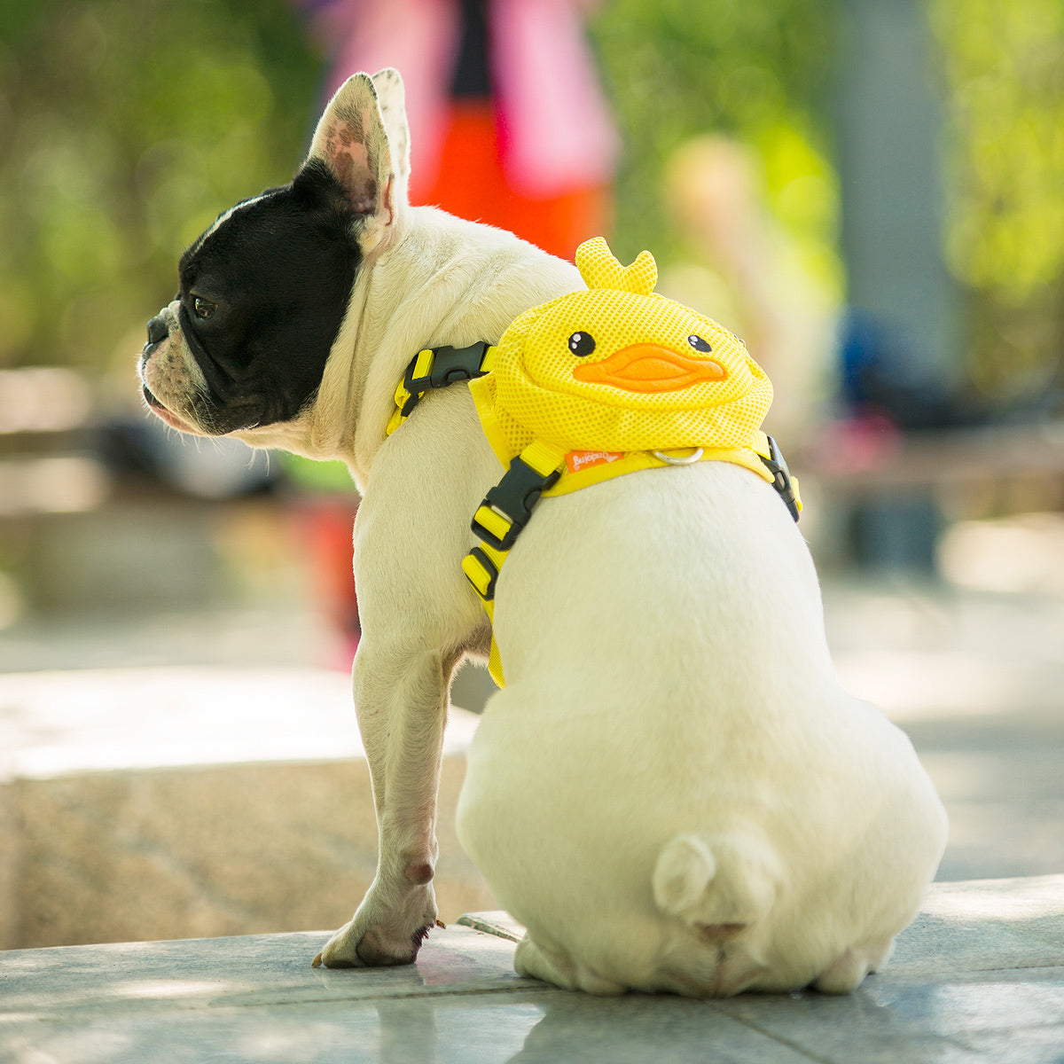 Ondoing Pet Saddle Bag Dog Harness Backpack Hiking Traveling Outdoor Bags Cute Costume Yellow duck bag with leash set M