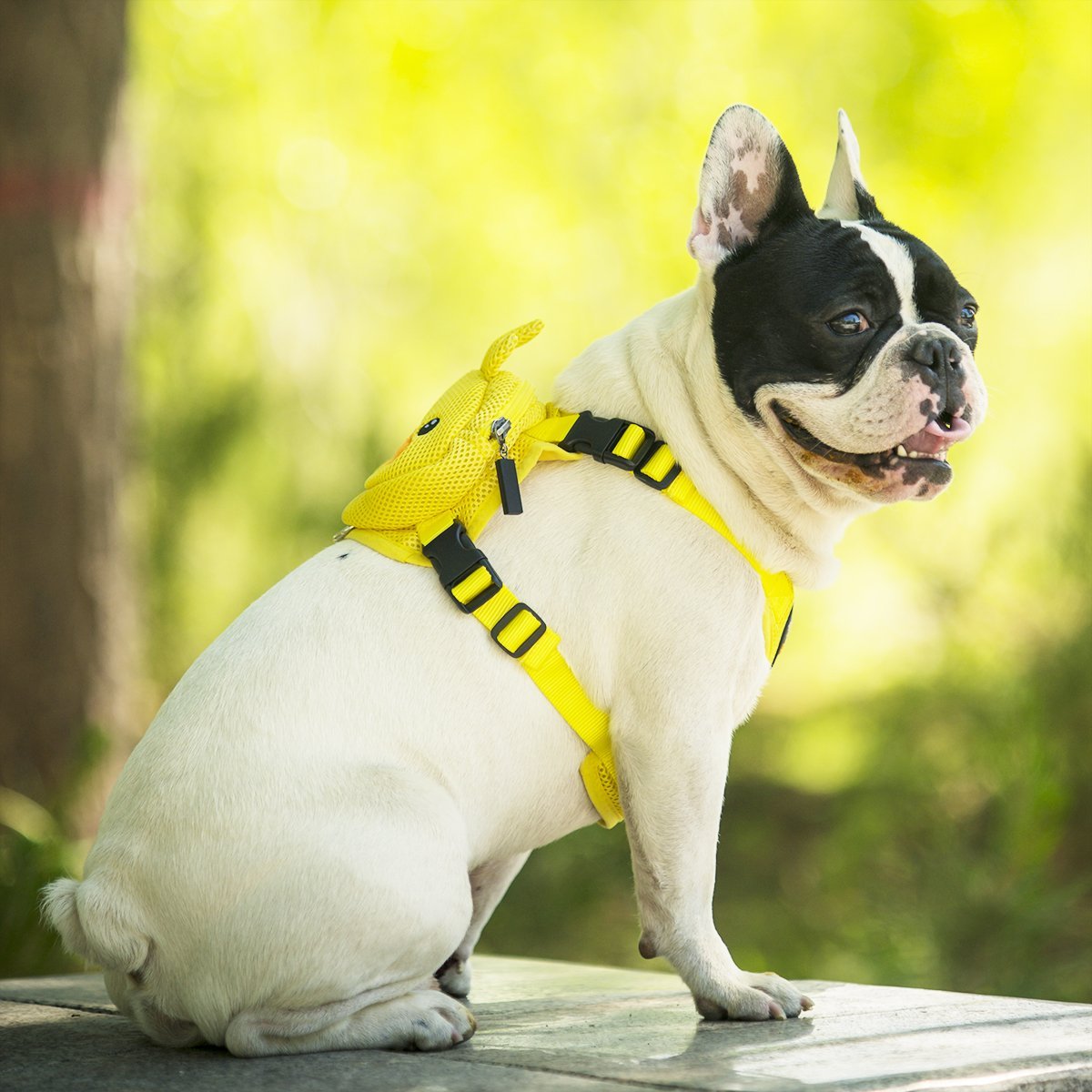 Ondoing Pet Saddle Bag Dog Harness Backpack Hiking Traveling Outdoor Bags Cute Costume Yellow tiger bag with leash XS