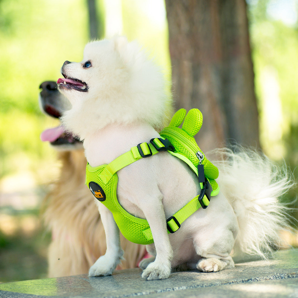 Ondoing Pet Saddle Bag Dog Harness Backpack Hiking Traveling Outdoor Bags Cute Costume Yellow tiger bag with leash XS