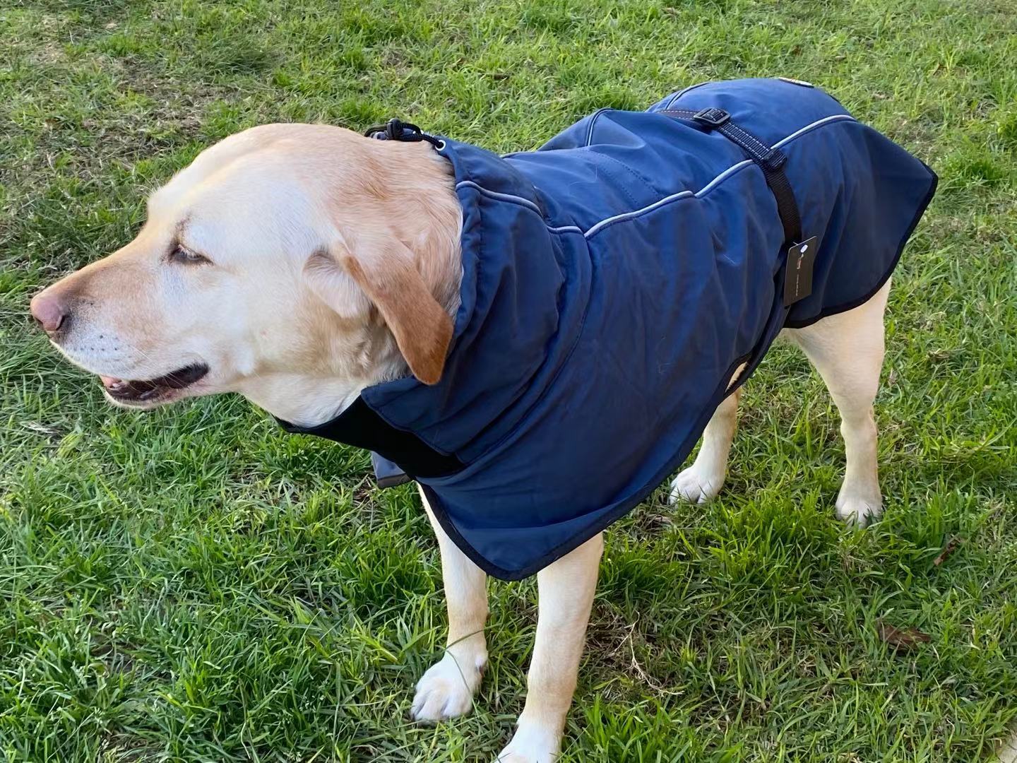 Pet Dog Raincoat Poncho Jacket Windbreaker Waterproof Clothes with Harness Hole-XL-Black Single Layer