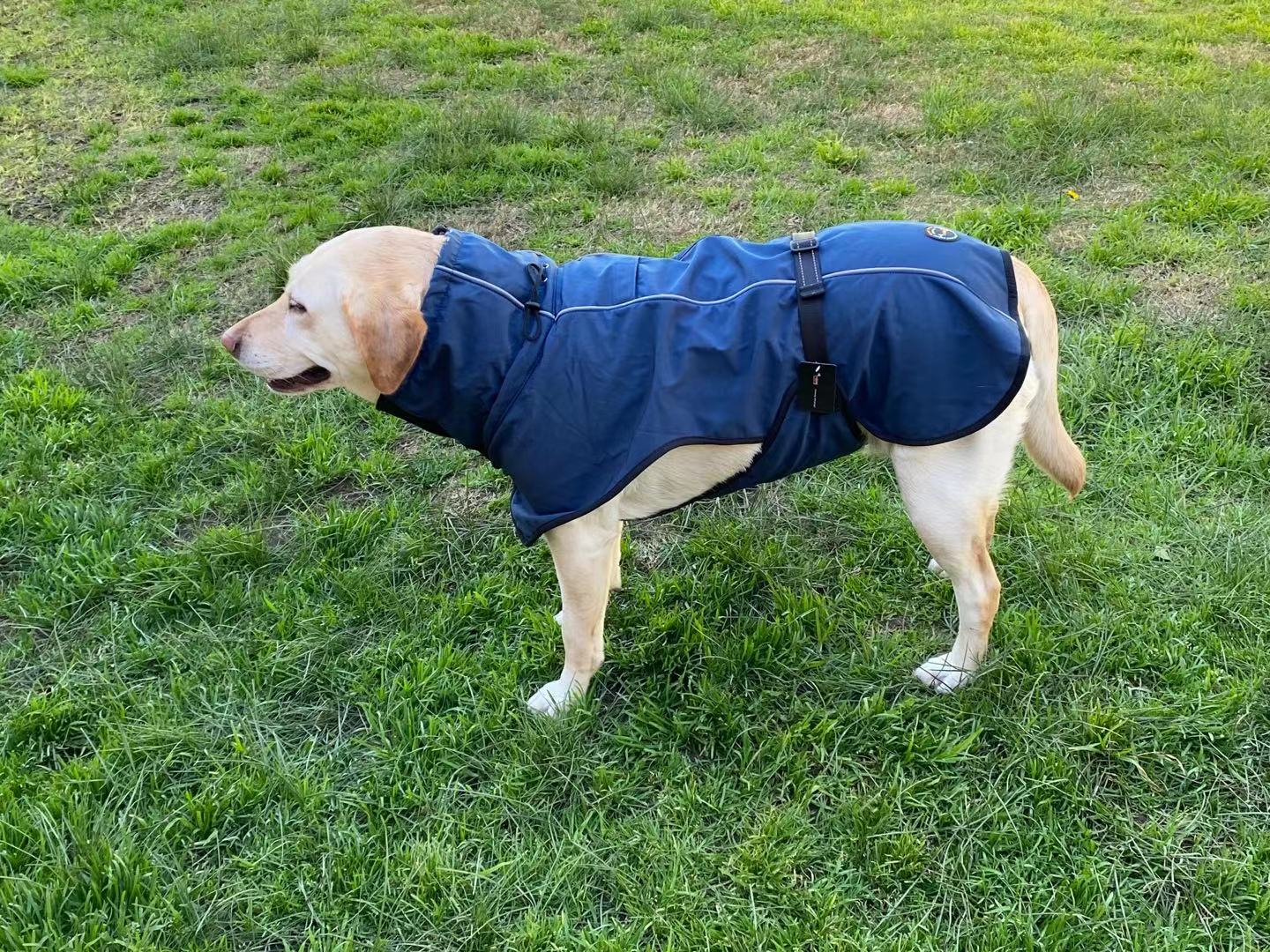 Pet Dog Raincoat Poncho Jacket Windbreaker Waterproof Clothes with Harness Hole-XXL-Black Single Layer