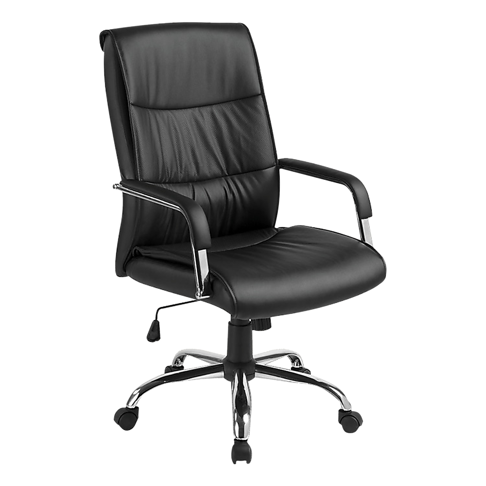 Ergonomic PU Leather Executive Office Chair, Lumbar Support