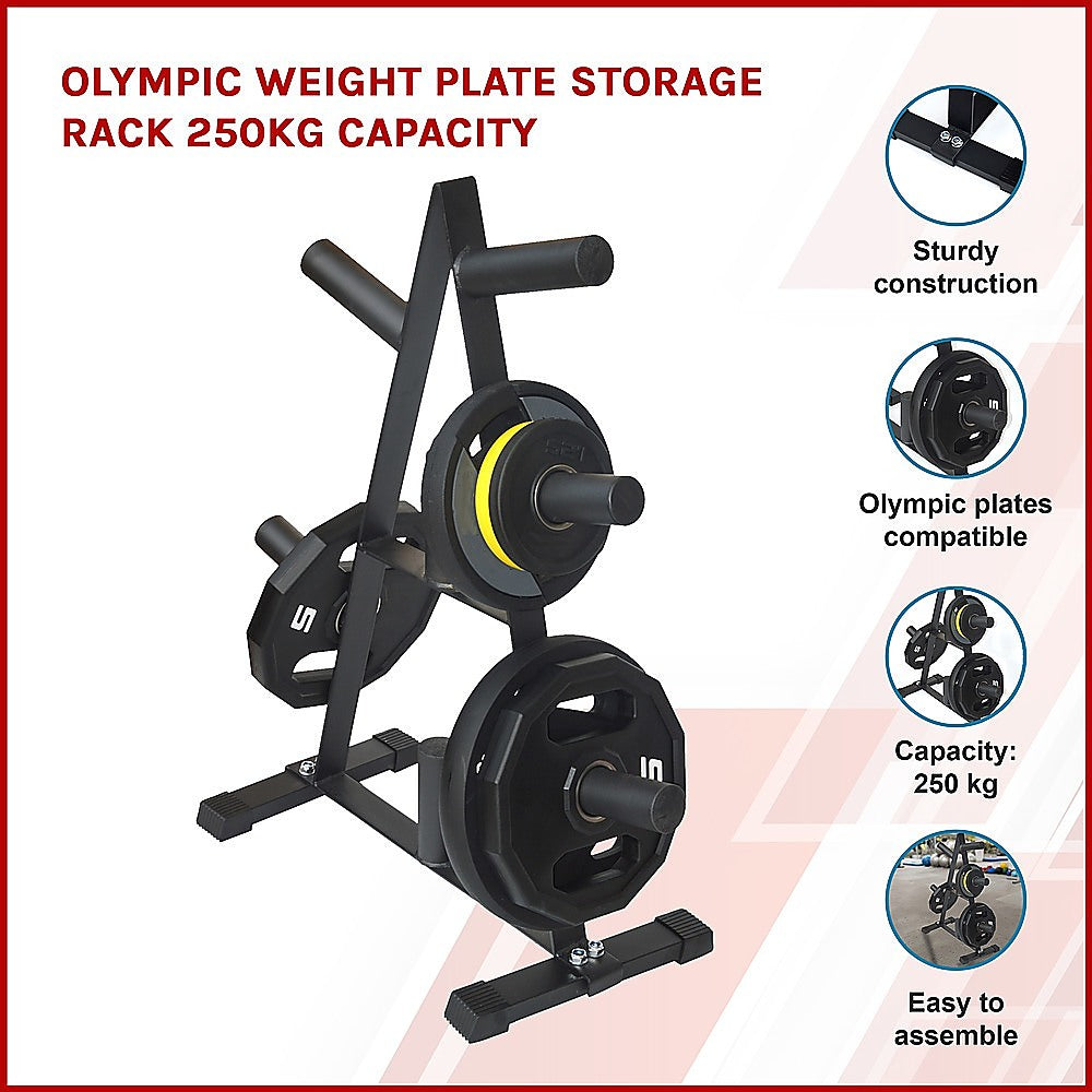 Pyramid Olympic Weight Plate Storage Rack, 250kg, 7 Spokes