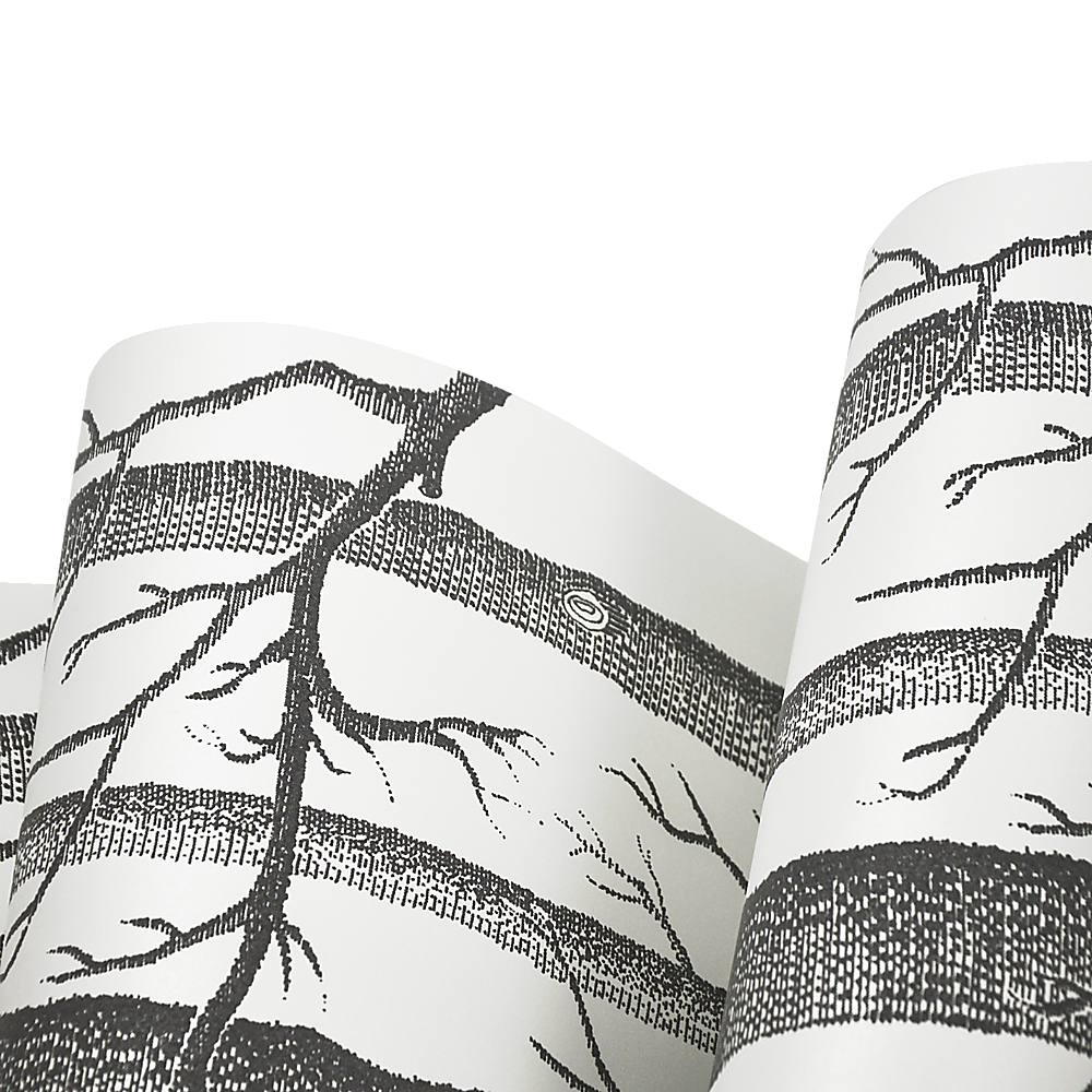 Moisture-Resistant White Birch Non-Woven Wallpaper Roll