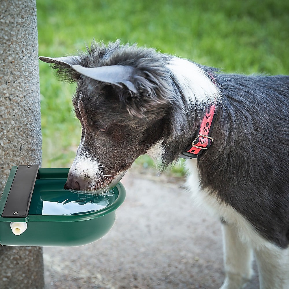 UV-Stabilized 4L Automatic Water Trough Bowl with Float Valve