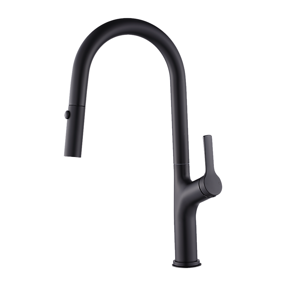 Matte Black Pull-Out Mixer Tap, Stainless Steel Body