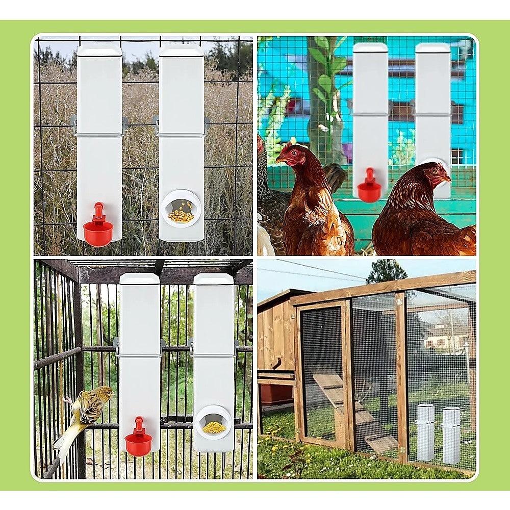 Chicken Bird Feeder Water Dispenser Automatic Waterer Poultry Food Drinker 4L