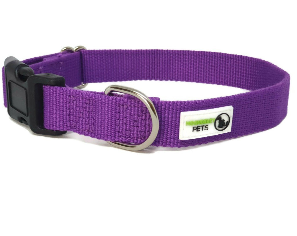 100% Pure Bamboo Fibre Dog Collar Plastic Buckle X-Small Purple