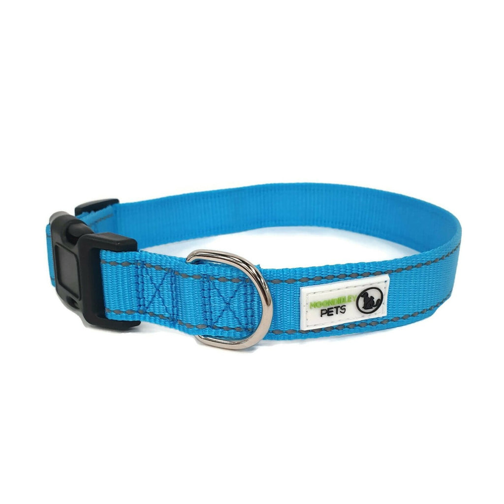 Nylon w/Reflective Stitching Dog Collar Large Light Blue