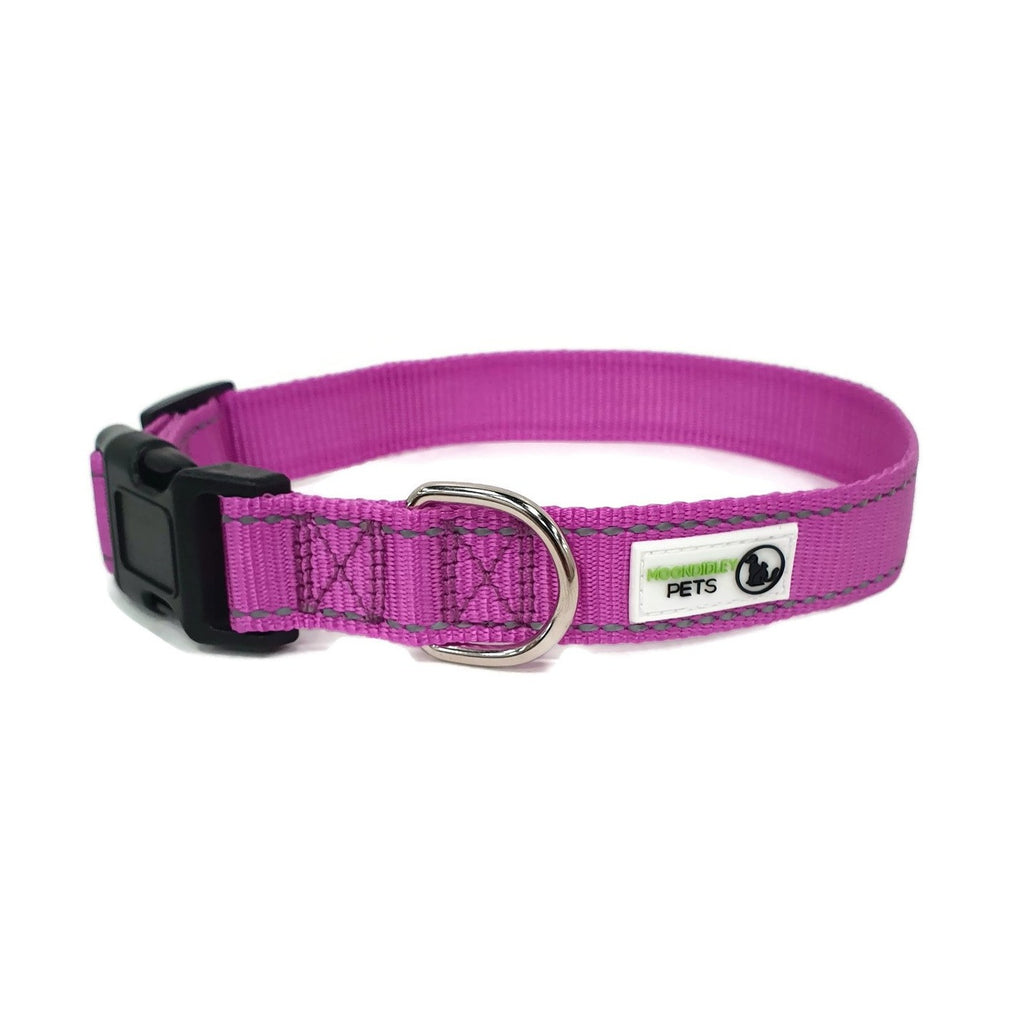 Nylon w/Reflective Stitching Dog Collar Large Purple