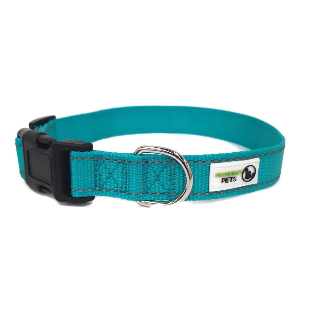 Nylon w/Reflective Stitching Dog Collar Large Turquoise