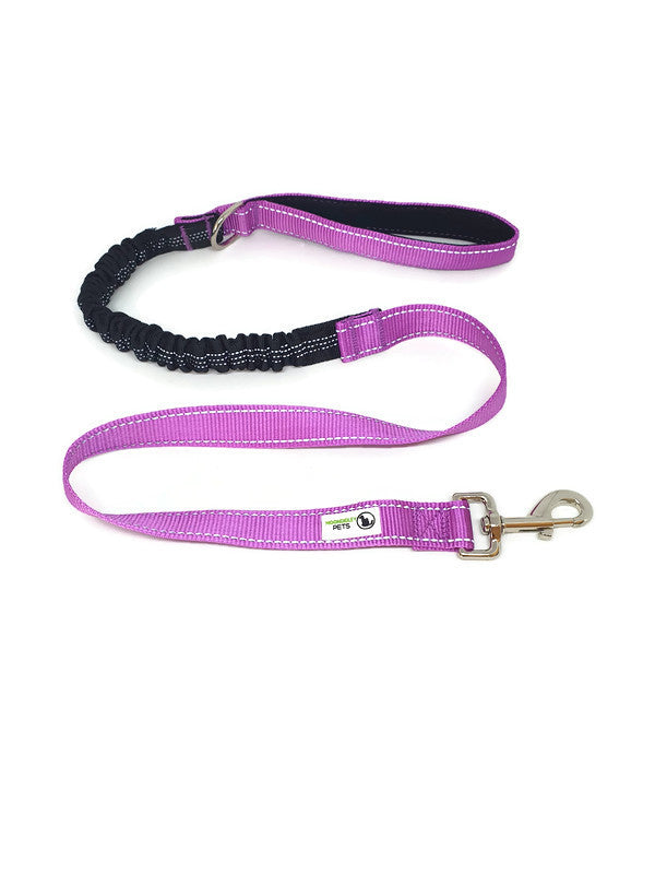 Bungee Dog Lead Nylon w/Reflective Stitching Purple