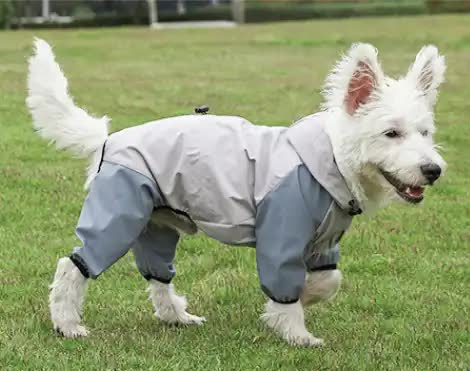 Waterproof Dog Raincoat with Hidden Leash Hole - Windproof and Comfortable for Outdoor Walks, Size:S Back Length 20cm/7.87in, Bra 31cm/12.20in Grey