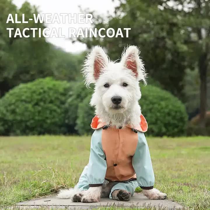 Waterproof Dog Raincoat with Hidden Leash Hole -Windproof and Comfortable for Outdoor Walks, Size:M Back Length 25cm/9.84in, Bra 38cm/14.96in Orange