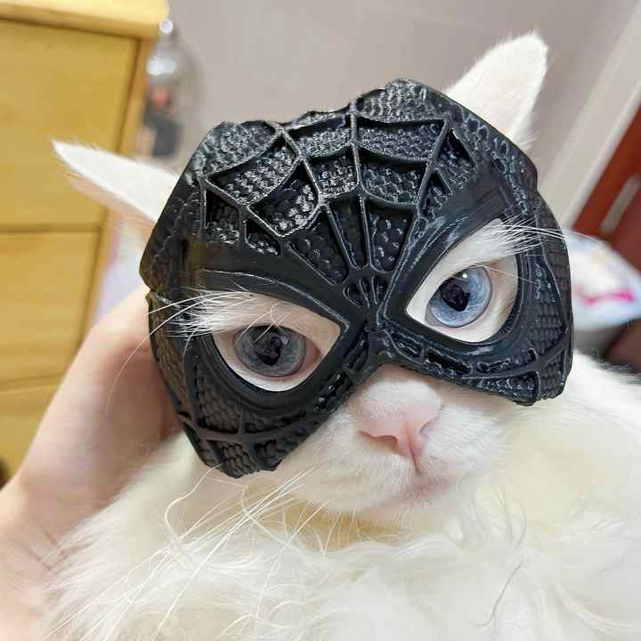 Size S Black DIY 3D Printed Spider-Man Cat Mask - Mini Decorative Half-Face Mask for Pets