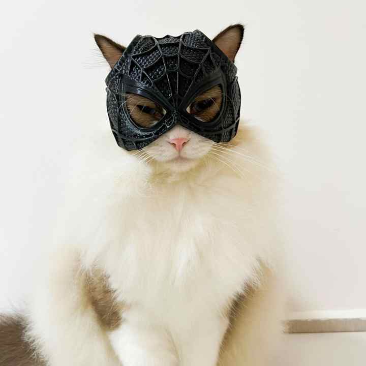 Size S Black And Red Stitching DIY 3D Printed Spider-Man Cat Mask - Mini Decorative Half-Face Mask for Pets