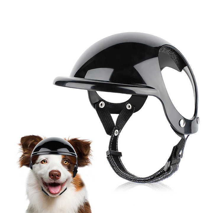 Size M Black Pet Safety Helmet - Stylish Protective Headgear for Dogs