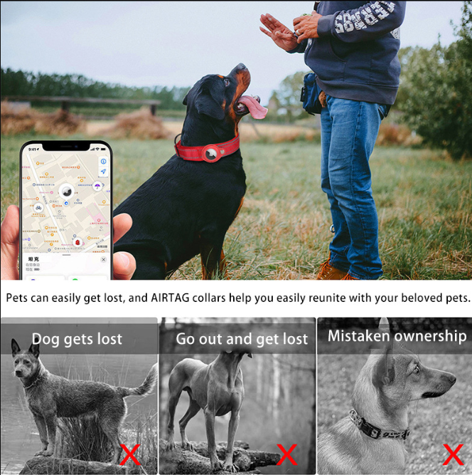 M Purple Secure Nylon Dog Collar with Built-in Apple AirTag (not included) Holder Case - Pet Tracker Accessory
