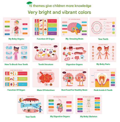 Interactive Human Body Busy Book Set 2 Books - Educational Quiet Learning Toy for Toddlers