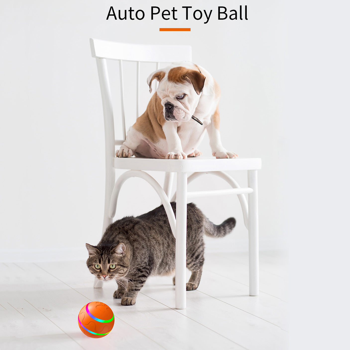 Interactive Auto Pet Toy Ball with Remote Control - USB Rechargeable, LED Lights, Sturdy & Waterproof orange