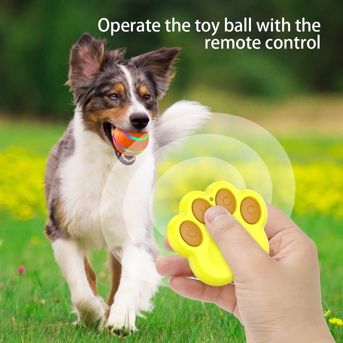 Interactive Auto Pet Toy Ball with Remote Control - USB Rechargeable, LED Lights, Sturdy & Waterproof orange