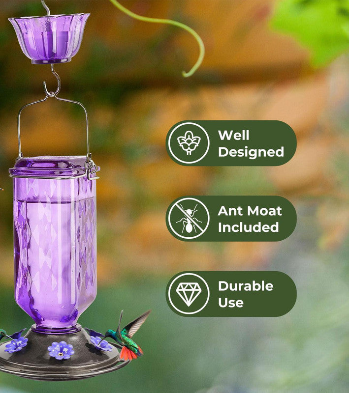 Elegant Hanging Hummingbird Feeder - Decorative Glass Nectar Bottle with Ant Moat, 6 Feeding Ports Red