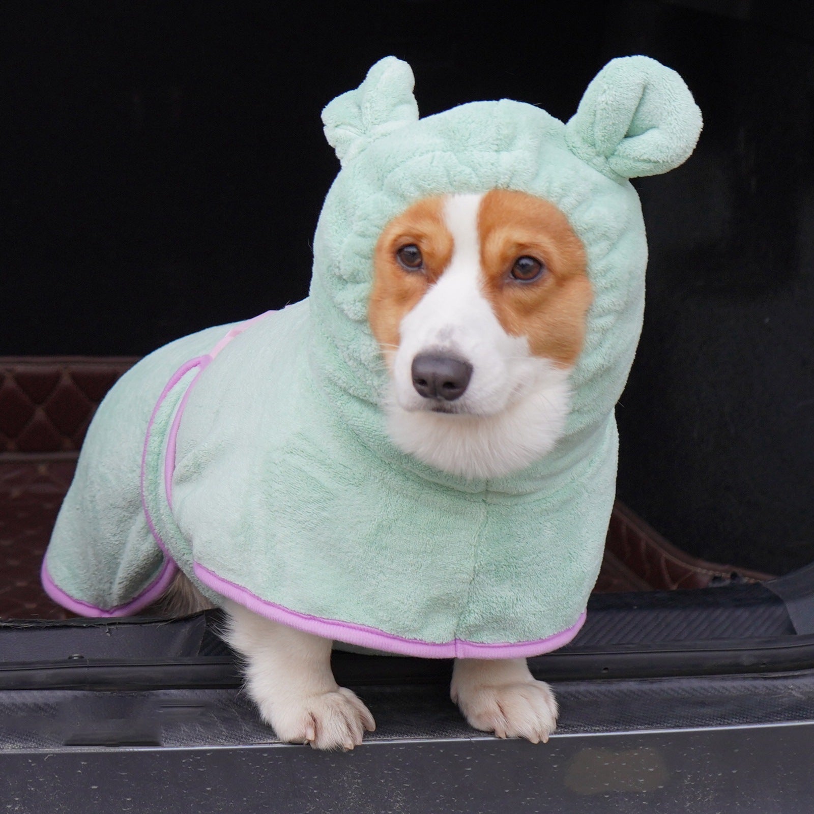 Green Hooded Dog Bathrobe - Super Absorbent, Adjustable Fit, Cozy Pet Towel Size : S