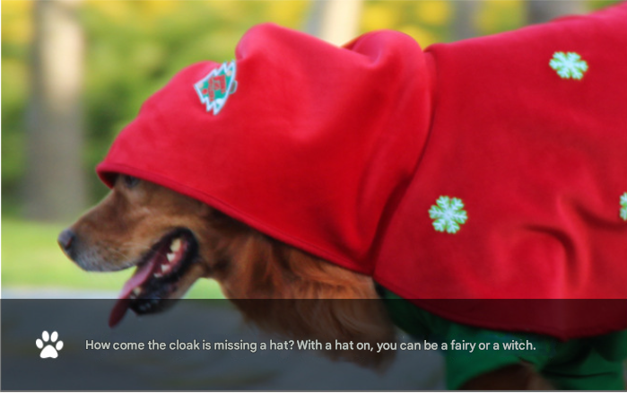 Christmas Dog Costume - Festive Hooded Cape & Green Jumpsuit Outfit Size : 4XL