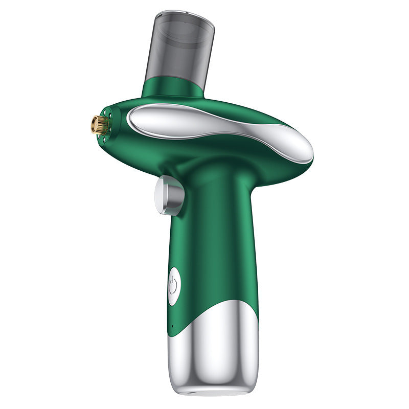 Portable Nano Facial Steamer & Oxygen Sprayer with Red/Blue Light Therapy green