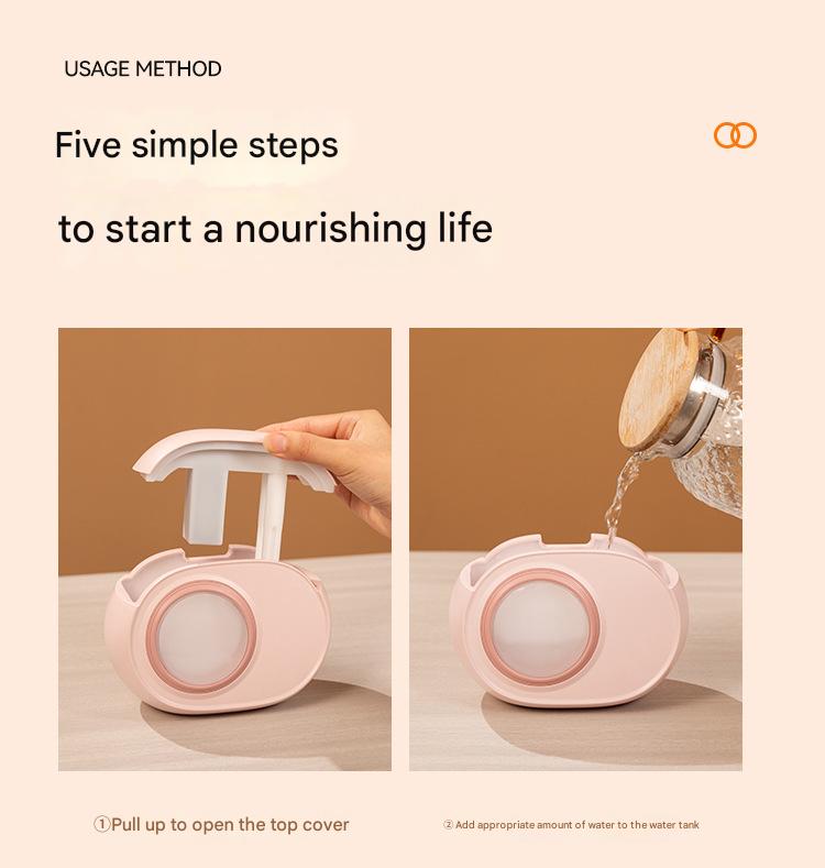 Compact Dual-Nozzle Humidifier with Ambient Light - USB-C Rechargeable, Two Mist Modes Pink
