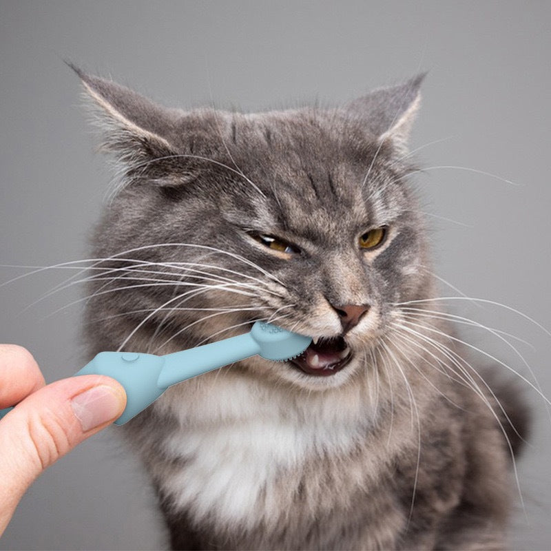 6 x Silicone Pet Toothbrush 3 Fish shape and 3 Bone shape Green Gentle Food-Grade Silicone Pet Toothbrush - Promotes Healthy Teeth & Gums for Dogs & Cats