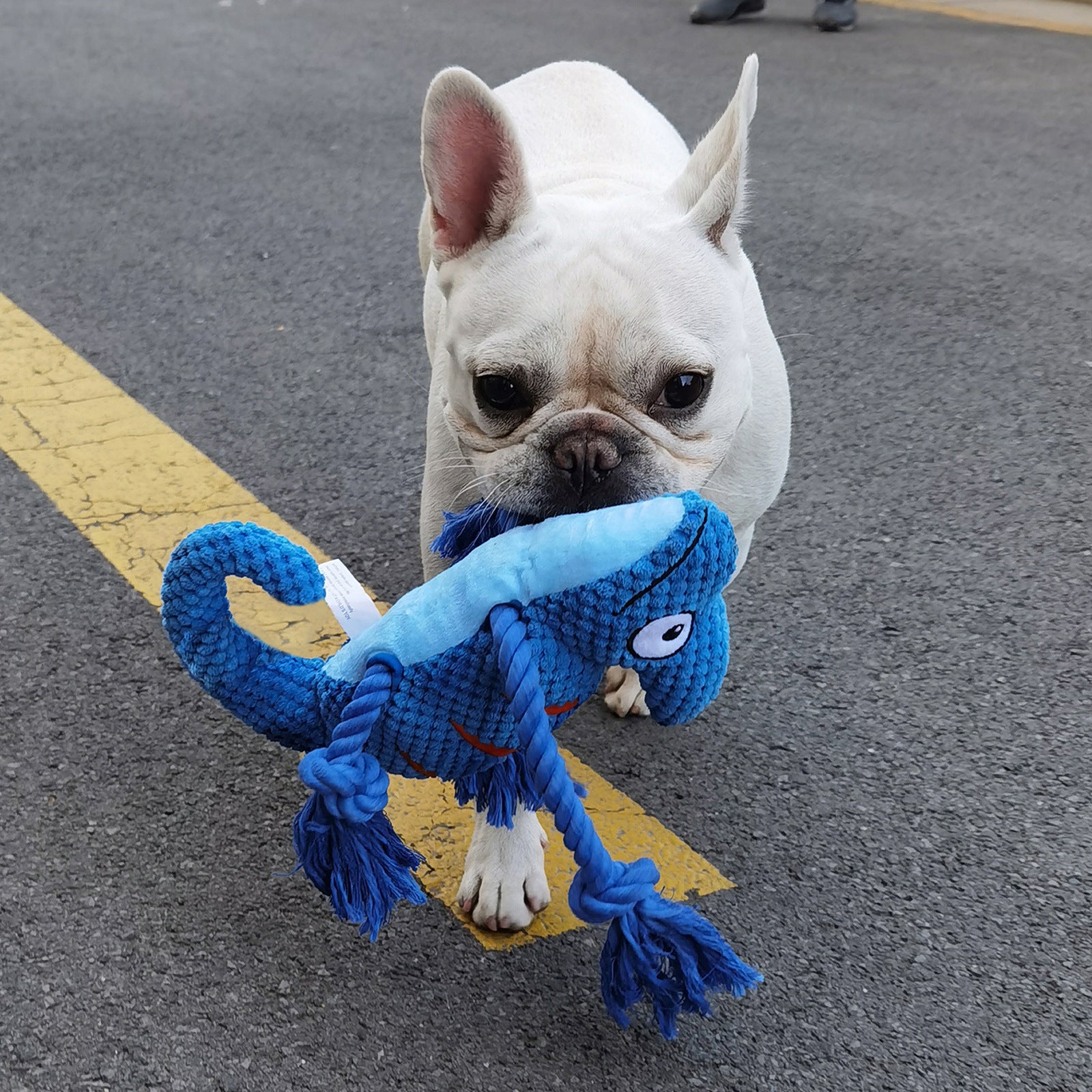 2 Pcs Blue Interactive Plush Chameleon Dog Toy with Squeaker & Rope Legs - Durable Chew Toy for Medium/Large Dogs, Teeth Cleaning Texture, Machine Washable 10.2in
