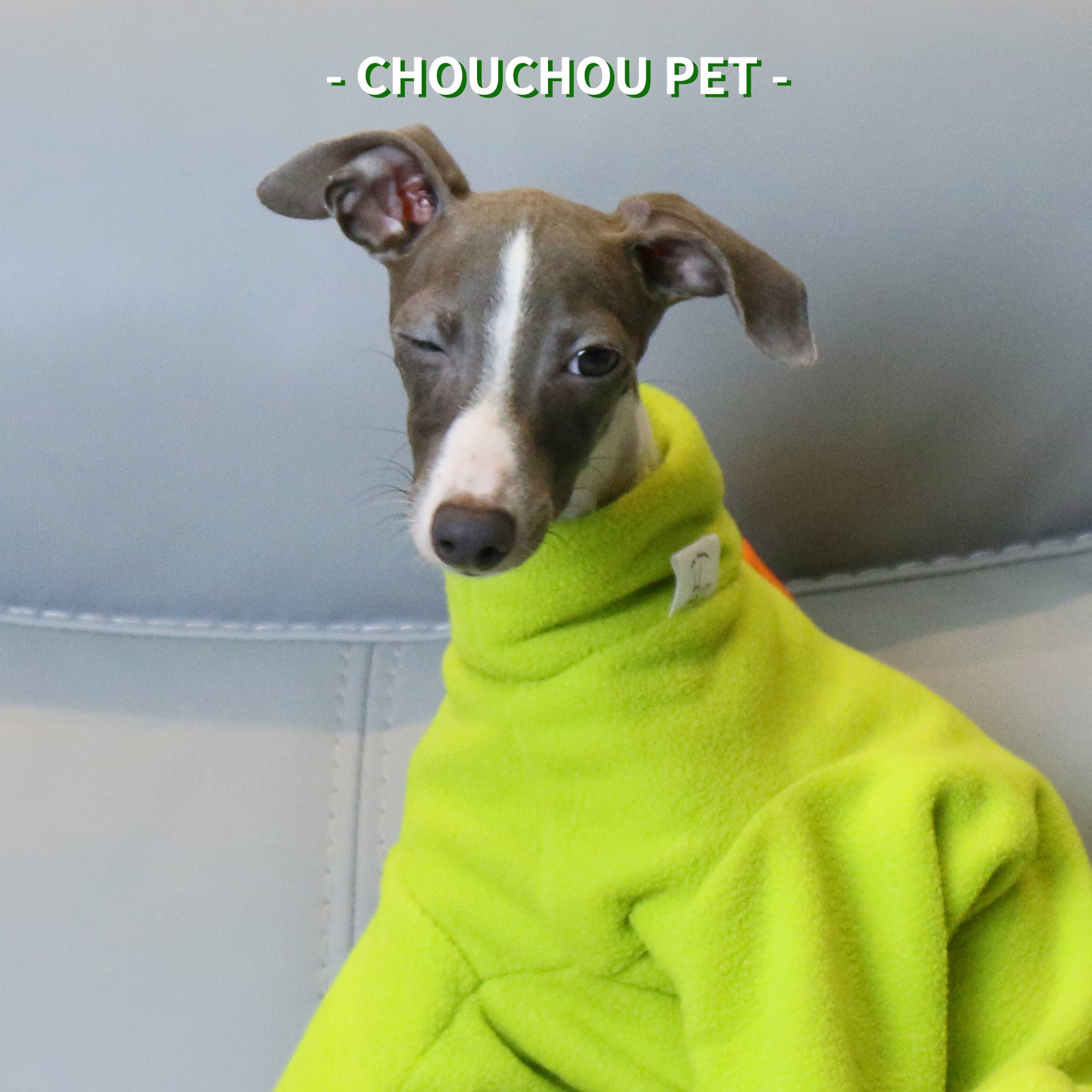 XXL Adorable Dinosaur Fleece Dog Jumpsuit - Warm Winter Pajamas for Whippets & Italian Greyhounds