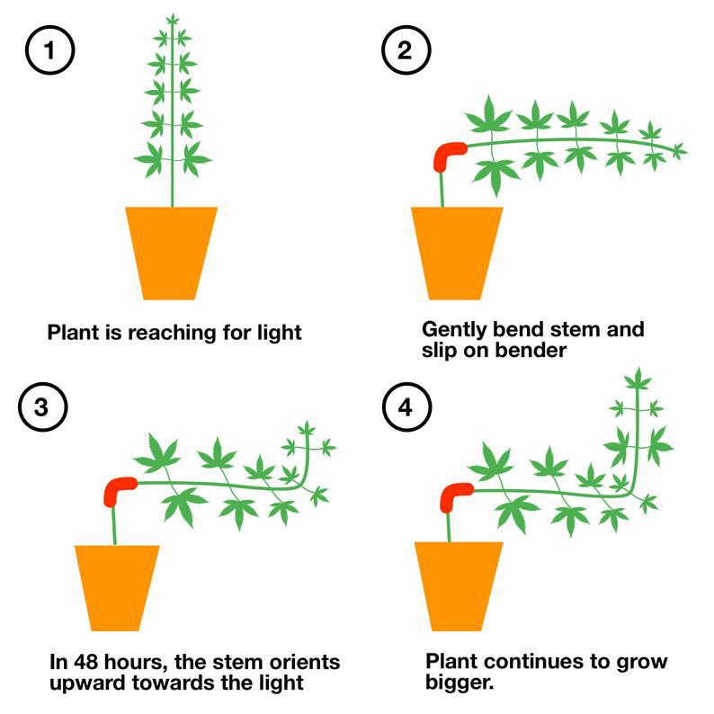 60PCS Green 90-Degree Plant Bender Clips for Low-Stress Training LST - Reusable Stem & Branch Trainer for Increased Yields