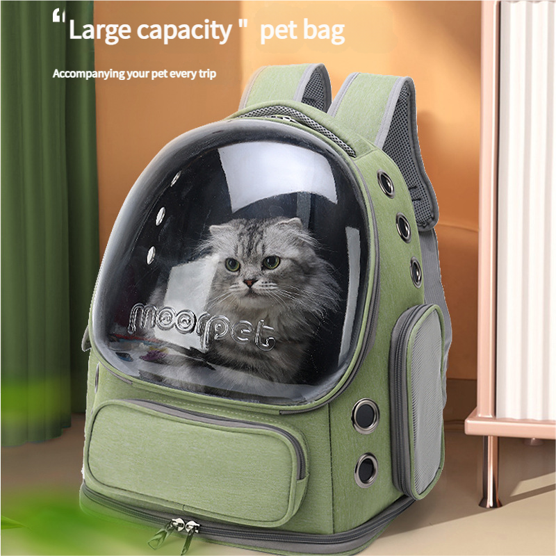 Spacious Pet Carrier with Ventilation System & Water-Resistant Design green